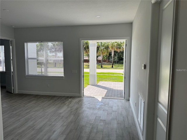 entrance foyer featuring wood-type flooring