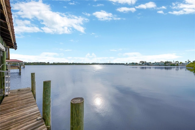 dock area featuring a water view