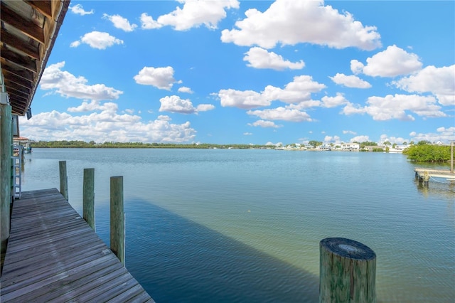 dock with a water view