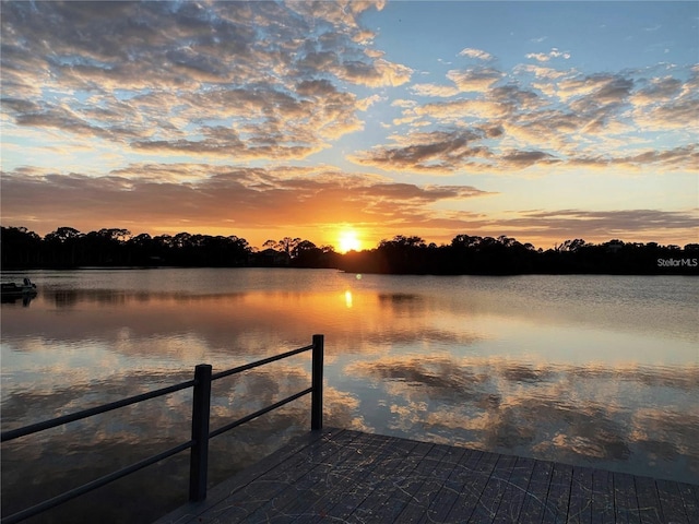 dock area featuring a water view