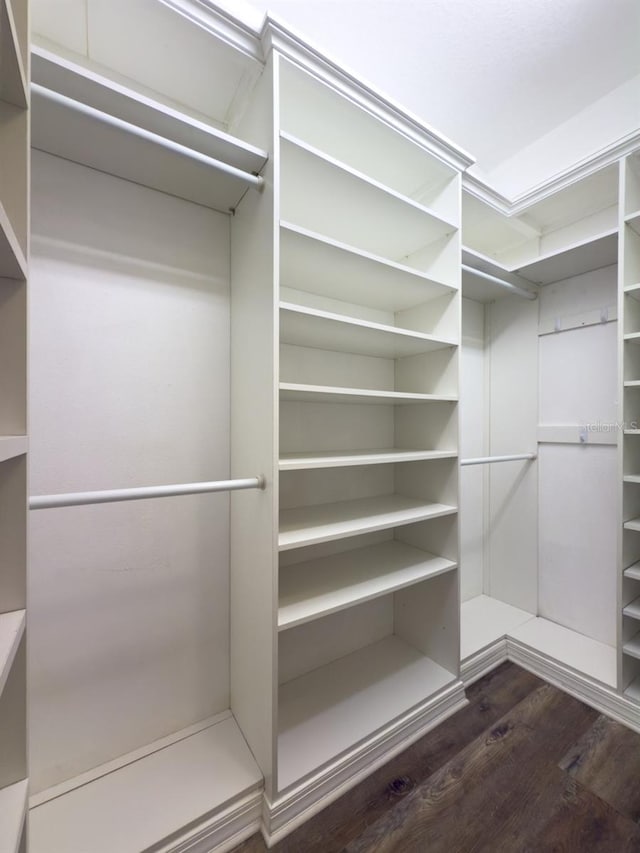 walk in closet featuring dark hardwood / wood-style floors