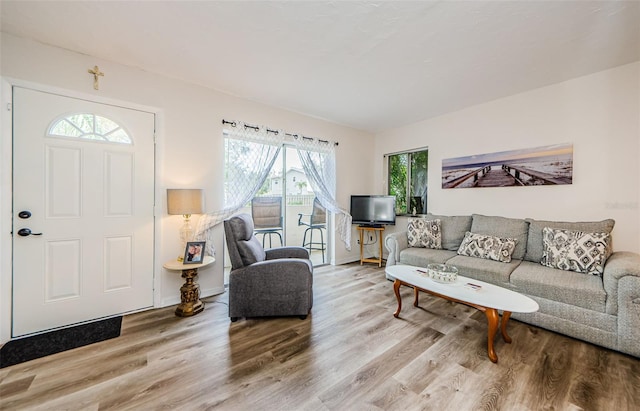 living room featuring wood-type flooring