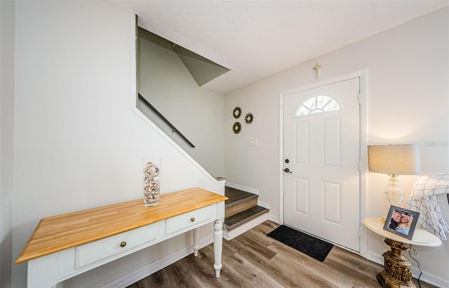 entrance foyer with hardwood / wood-style flooring