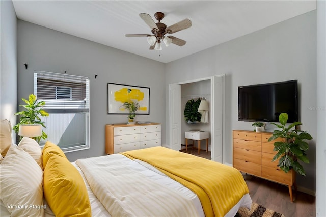 bedroom with dark hardwood / wood-style flooring, a closet, and ceiling fan