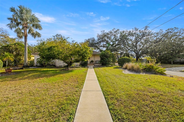 view of property hidden behind natural elements featuring a front lawn