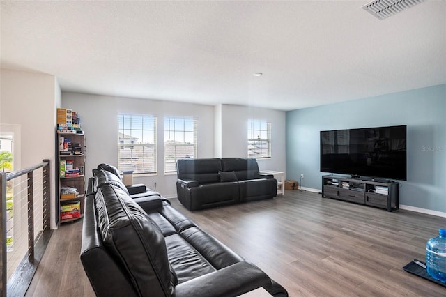 living room featuring wood-type flooring