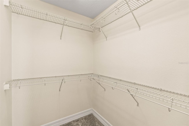 spacious closet featuring carpet flooring