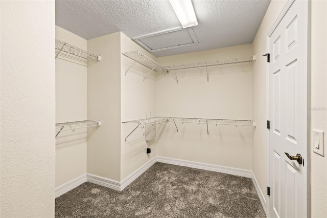 walk in closet with dark colored carpet