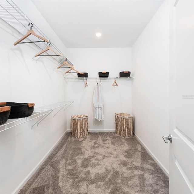 walk in closet with carpet floors