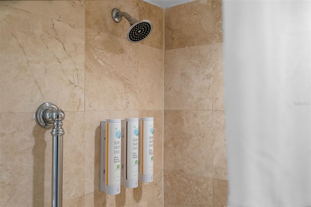 room details featuring tiled shower