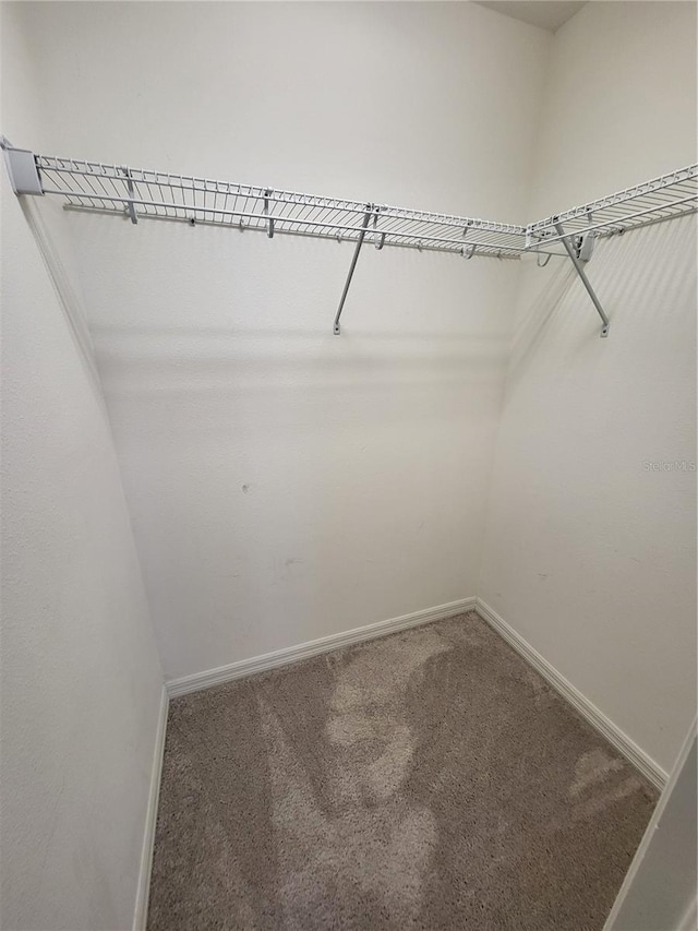 spacious closet with carpet