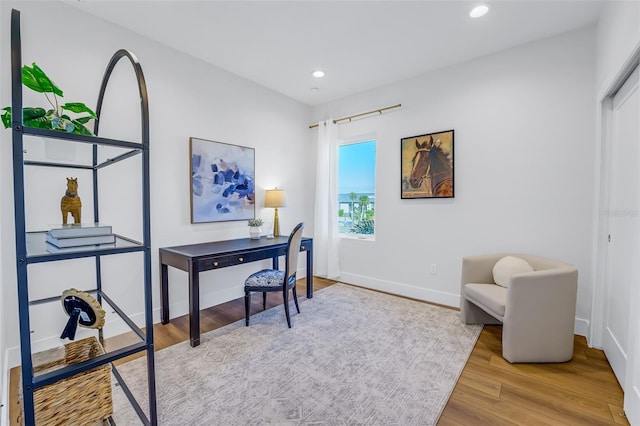 home office featuring wood-type flooring