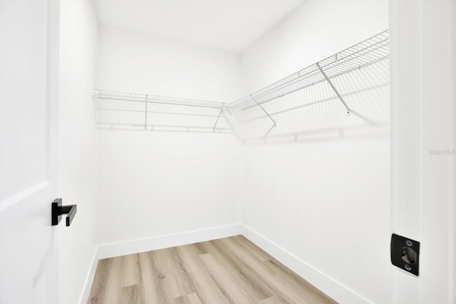 walk in closet featuring hardwood / wood-style floors