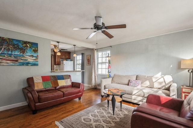 living room featuring dark wood-type flooring, ceiling fan, and ornamental molding