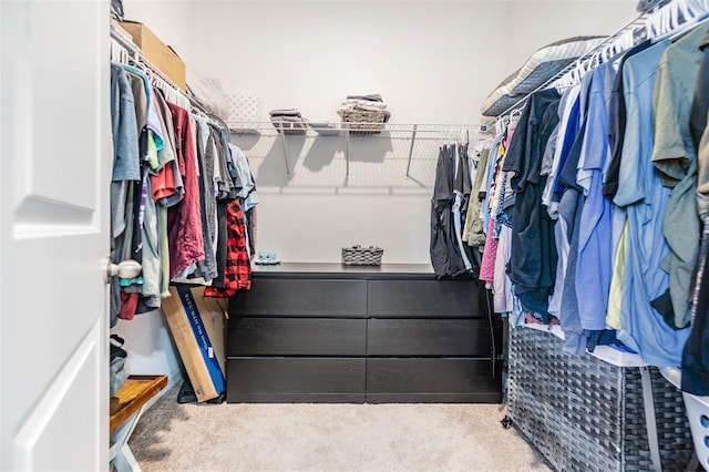 walk in closet featuring light colored carpet