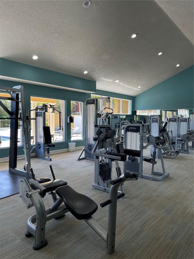 workout area with carpet floors, plenty of natural light, vaulted ceiling, and a textured ceiling