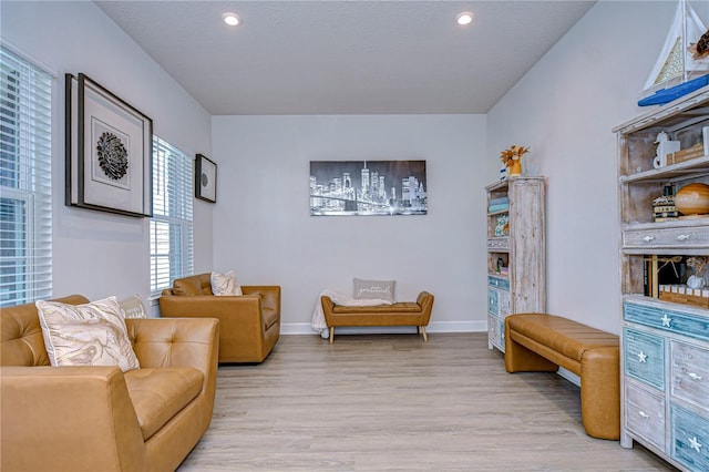 sitting room featuring light hardwood / wood-style floors