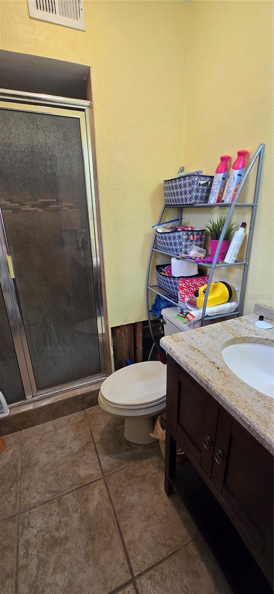 bathroom with vanity, walk in shower, and toilet