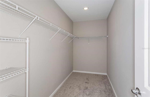 walk in closet with light colored carpet