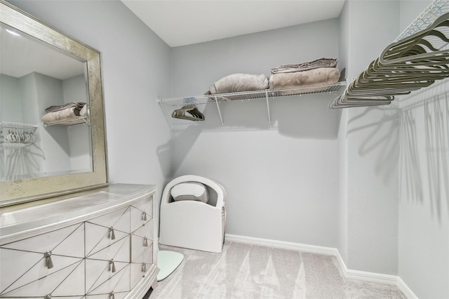 walk in closet with light colored carpet