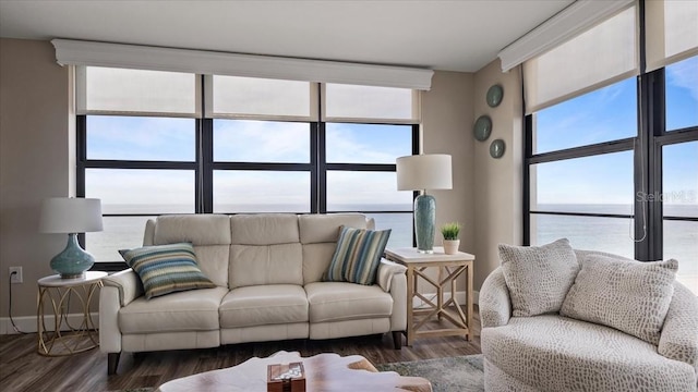 living room featuring dark hardwood / wood-style flooring, a healthy amount of sunlight, and a water view