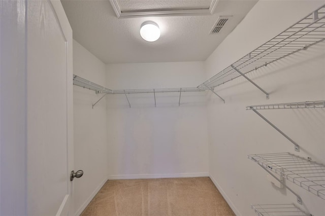 spacious closet featuring light colored carpet