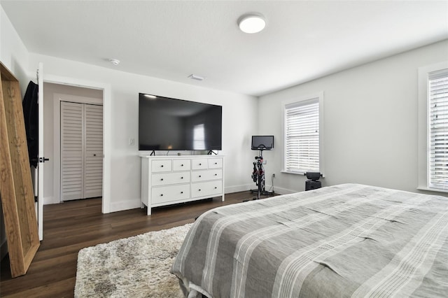 bedroom featuring dark wood-type flooring and a closet