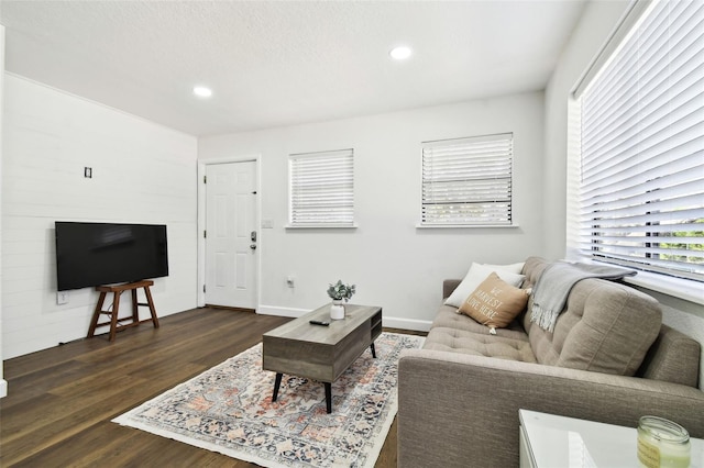 living room with dark hardwood / wood-style flooring