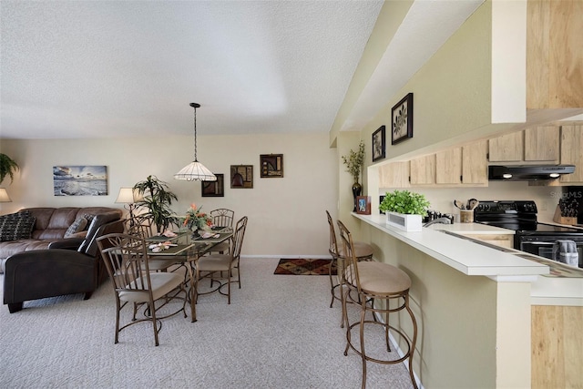 carpeted dining area featuring sink and a textured ceiling