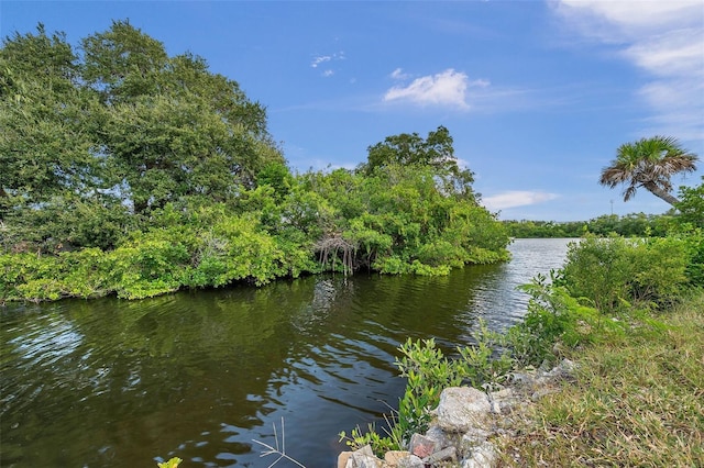 property view of water