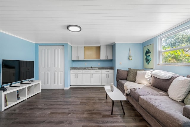 living room with dark wood-type flooring, crown molding, and sink