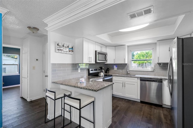 kitchen with stone counters, white cabinetry, appliances with stainless steel finishes, a tray ceiling, and kitchen peninsula