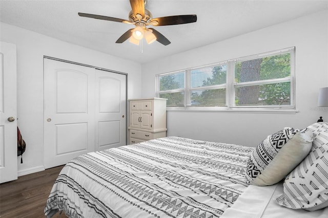 bedroom featuring multiple windows, dark wood-type flooring, ceiling fan, and a closet