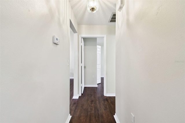 hallway with dark hardwood / wood-style floors