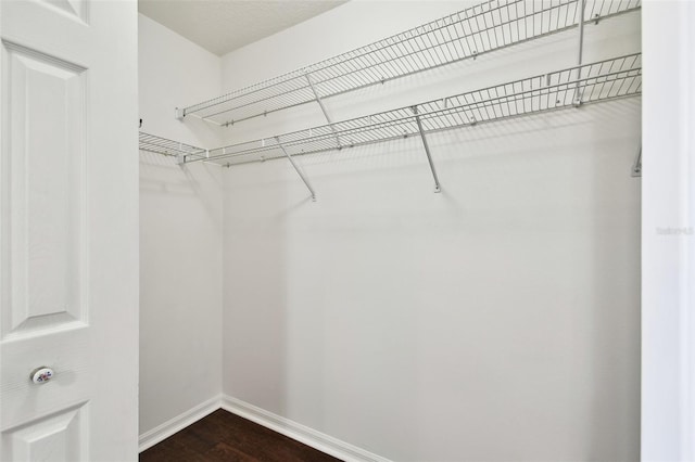 spacious closet with dark hardwood / wood-style flooring