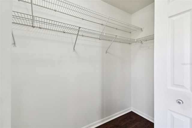 walk in closet with dark wood-type flooring