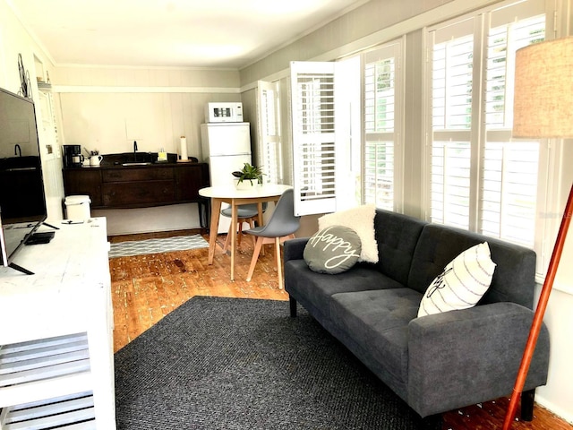 living room featuring ornamental molding and sink