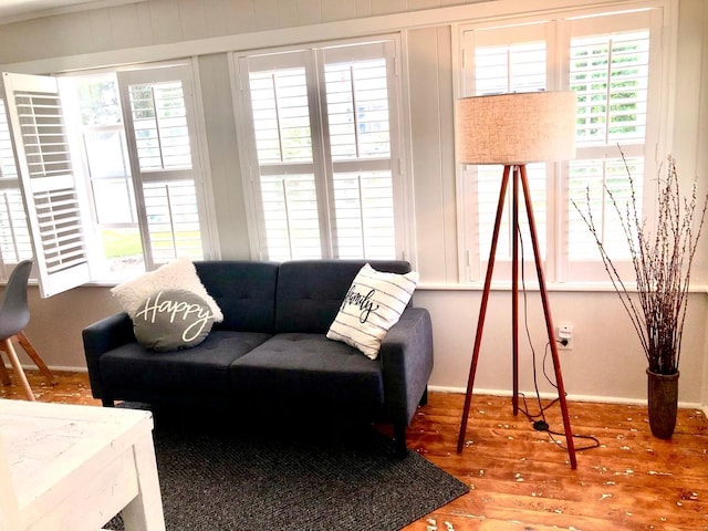 living room featuring wood-type flooring