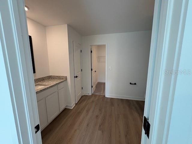 bathroom with wood-type flooring and vanity