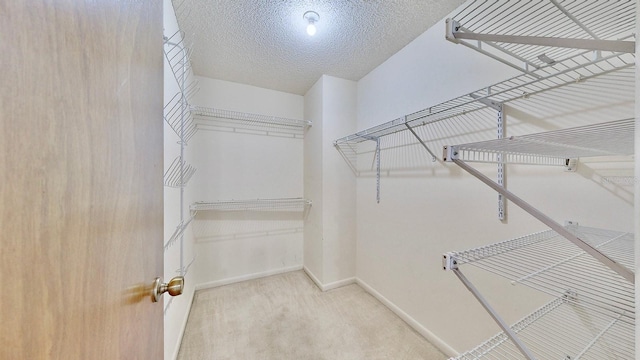 spacious closet featuring light carpet