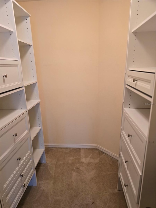 spacious closet with dark carpet