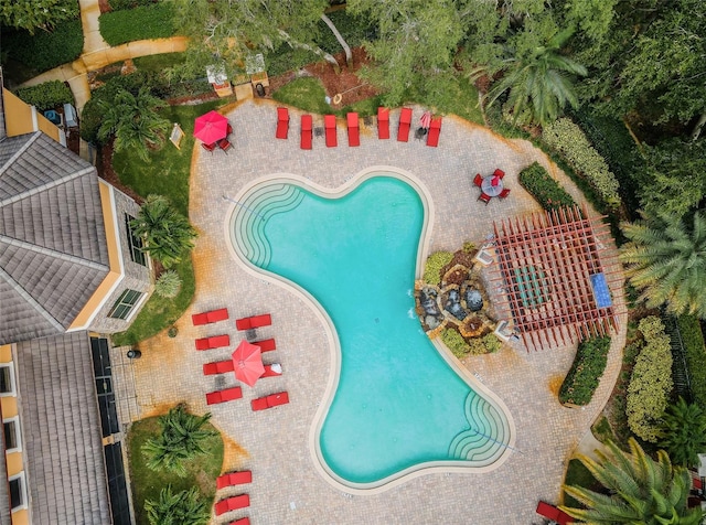 view of swimming pool