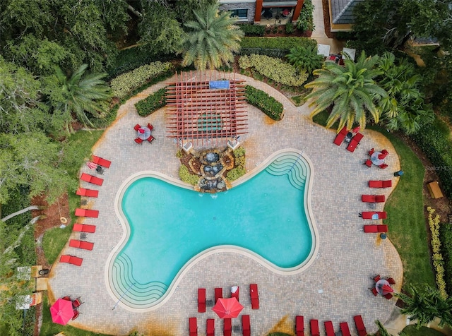 2254 Chianti Pl Unit 68, Palm Harbor, FL 34683 - view of pool