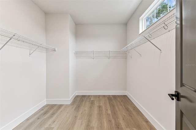 441 42nd Ave NE, Saint Petersburg, FL 33703 - spacious closet featuring wood finished floors