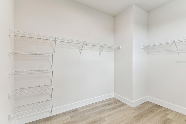441 42nd Ave NE, Saint Petersburg, FL 33703 - walk in closet featuring light wood finished floors