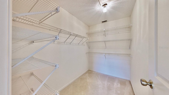 spacious closet with carpet floors