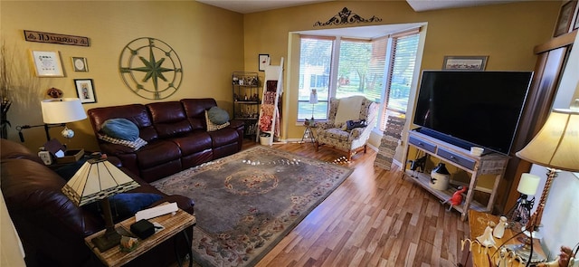 living room featuring wood-type flooring