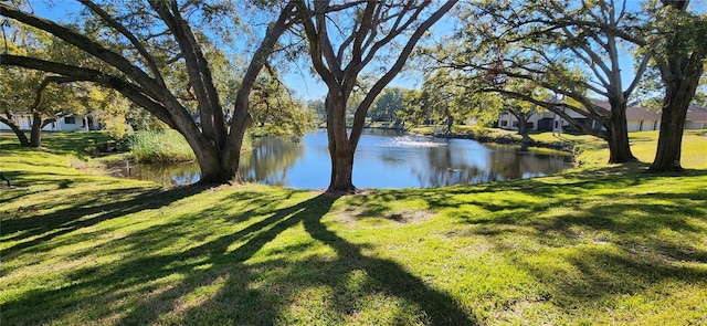 view of water feature