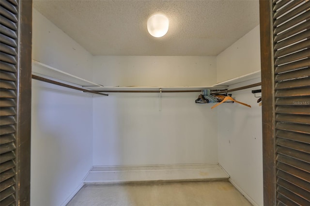 spacious closet featuring carpet flooring