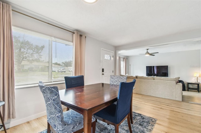 dining room with light hardwood / wood-style flooring, a wealth of natural light, and ceiling fan